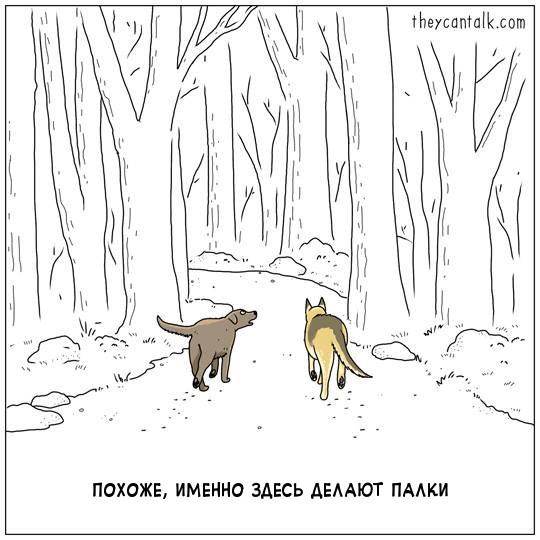 Забавные картинки