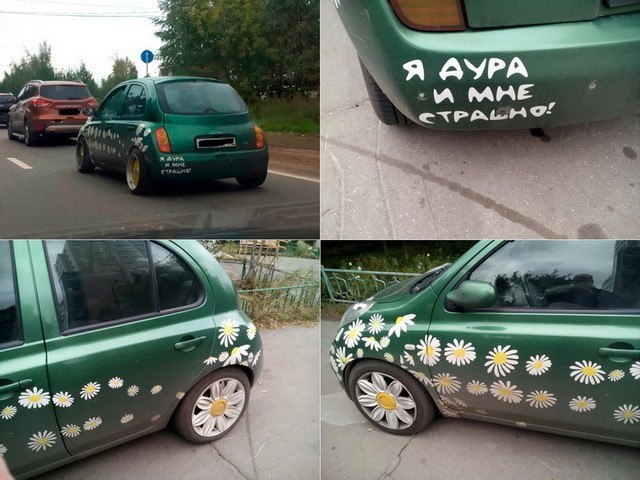 Забавные картинки