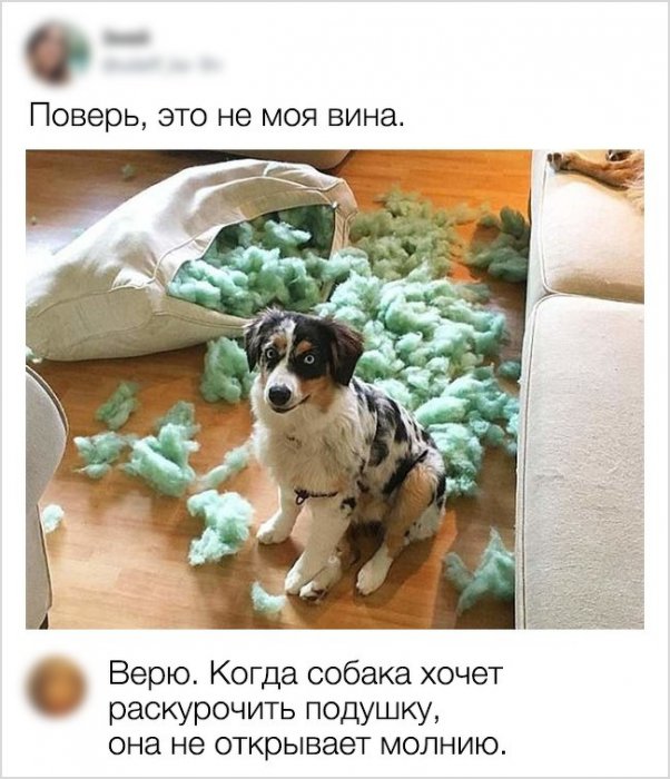 Забавные картинки