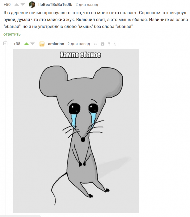 Забавные картинки