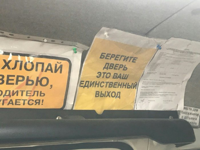 Забавные картинки