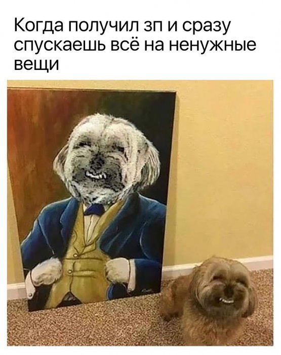 Забавные картинки