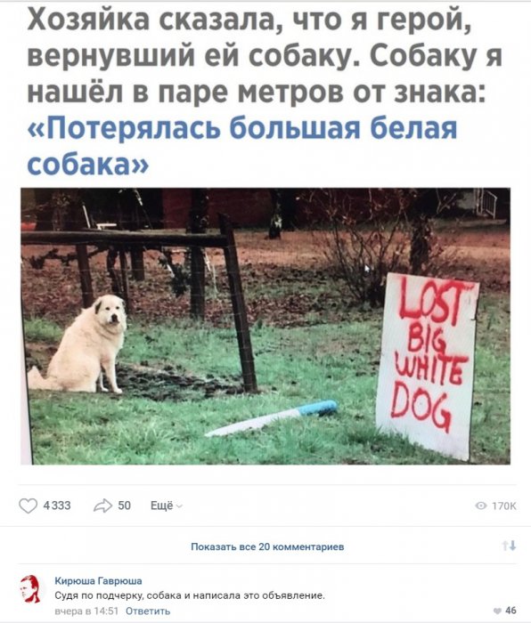 Забавные картинки