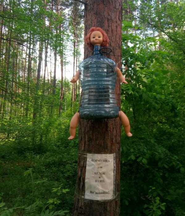 Забавные картинки