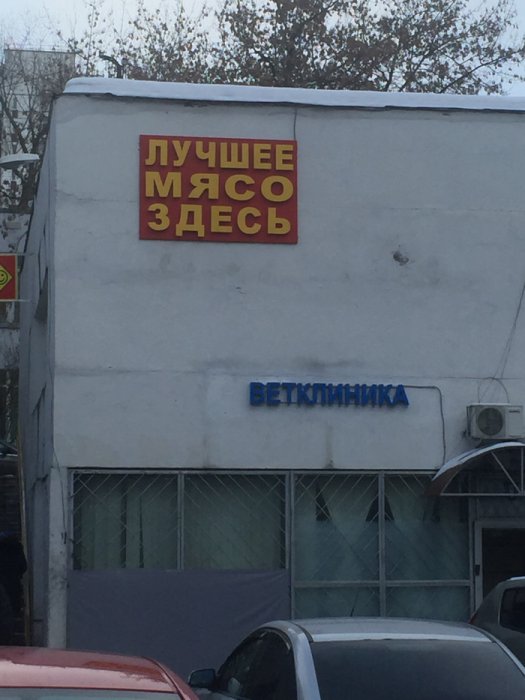 Забавные картинки