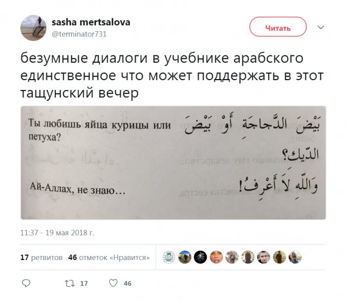 Забавные картинки
