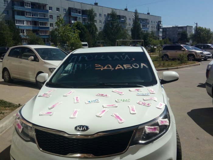 Забавные картинки