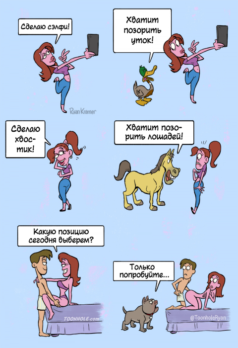 Забавные картинки
