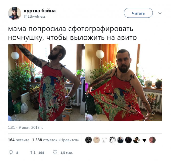 Забавные картинки