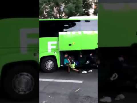  А не хотите во Францию на автобусе?