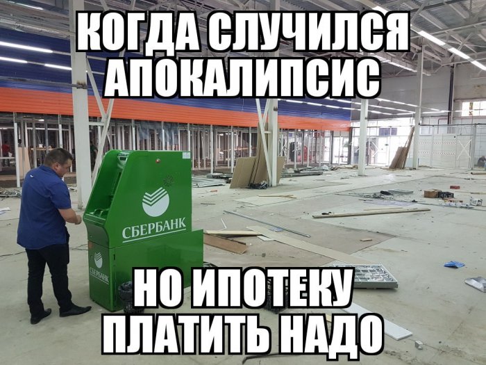 Забавные картинки