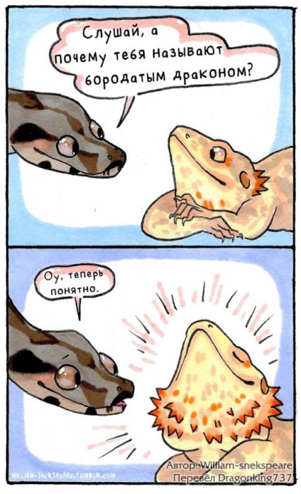 Смешные комиксы