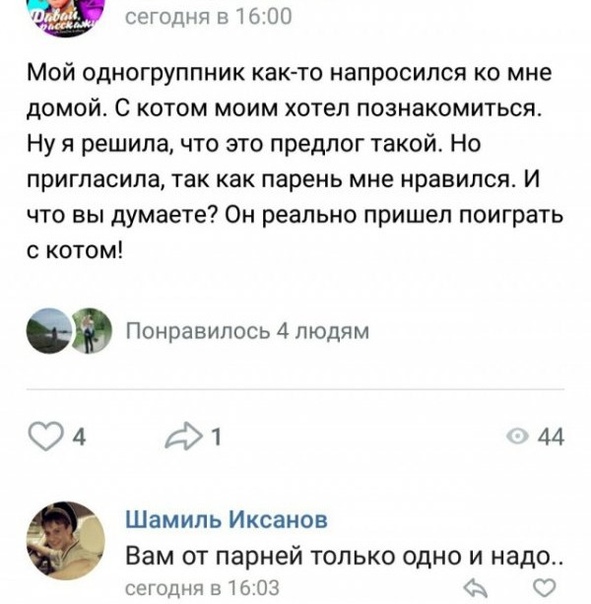 Забавные картинки
