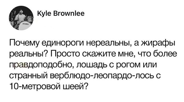 Забавные картинки