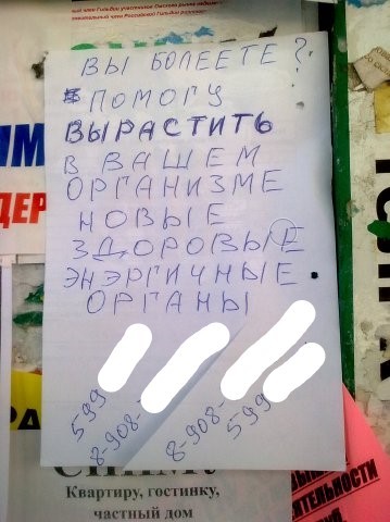 Забавные картинки