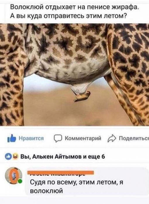 Забавные картинки
