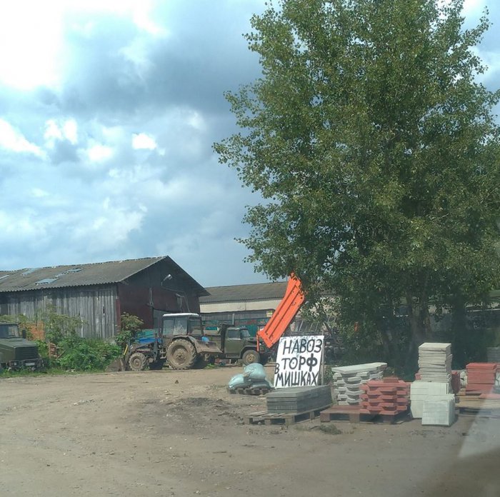 Забавные картинки