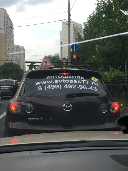 Забавные картинки