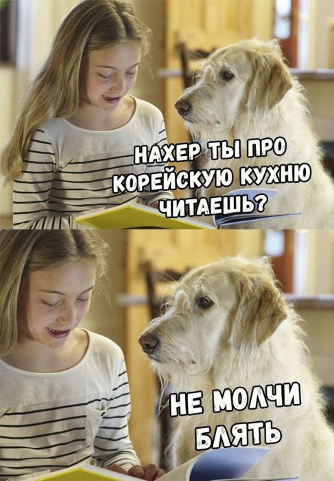 Забавные картинки