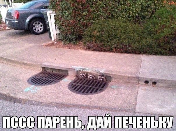 Прикольные картинки (94 фото)