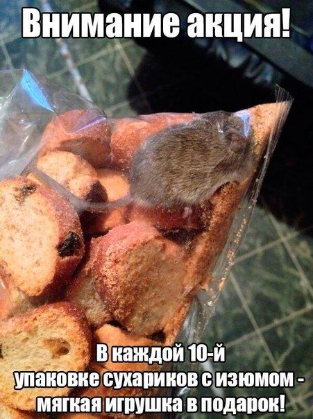 Прикольные картинки (94 фото)