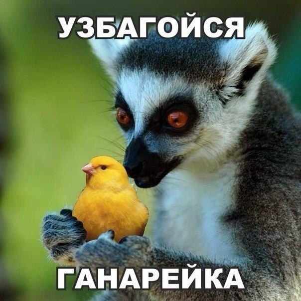 Прикольные картинки (94 фото)