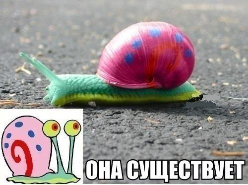 Прикольные картинки (94 фото)