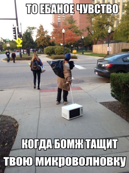 Прикольные картинки (94 фото)