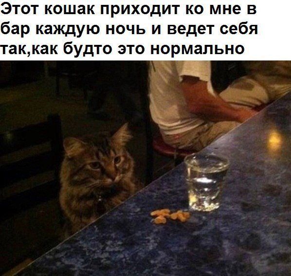 Прикольные картинки (94 фото)