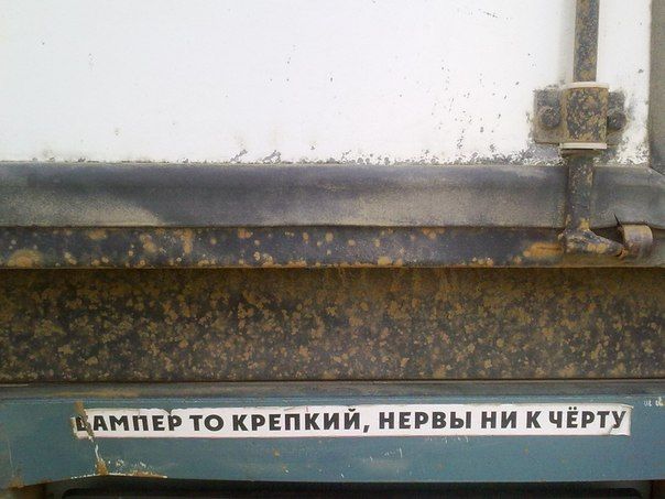 Прикольные картинки (94 фото)
