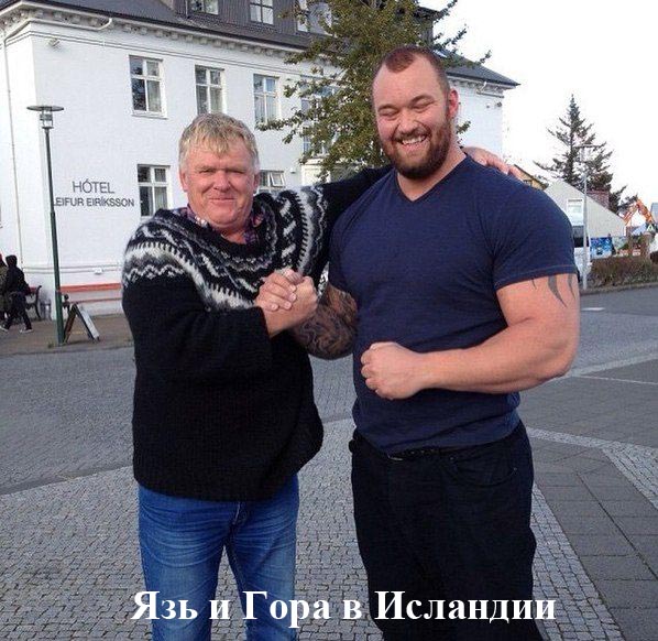 Порция картинок
