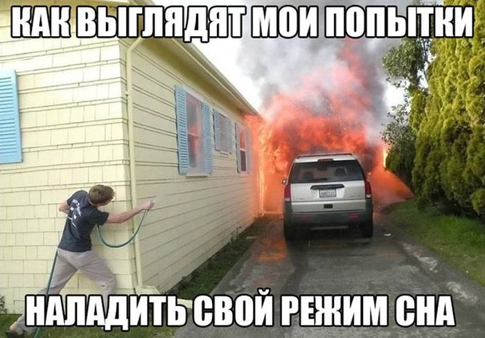 Порция картинок
