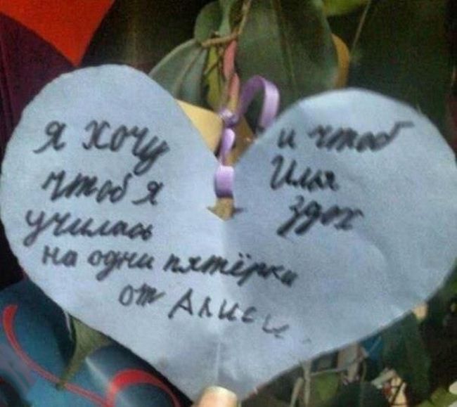 Порция картинок
