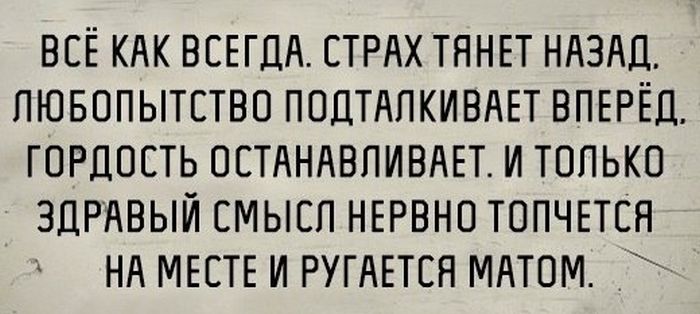 Порция картинок