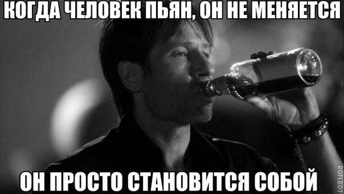 Порция картинок