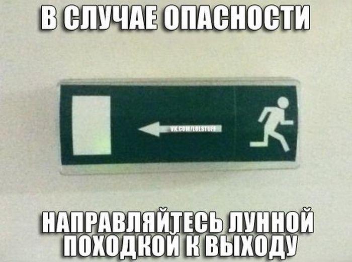 Прикольные картинки