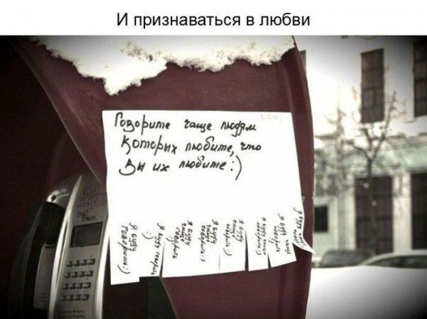 Добрые объявления (15 фото)