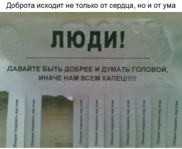 Добрые объявления (15 фото)