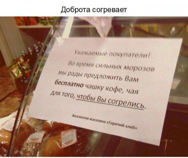 Добрые объявления (15 фото)