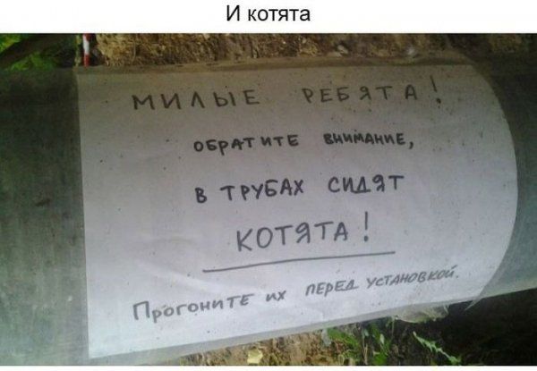 Добрые объявления (15 фото)