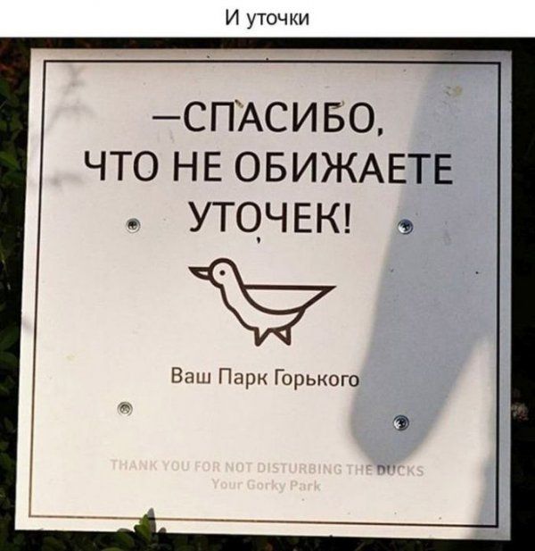 Добрые объявления (15 фото)