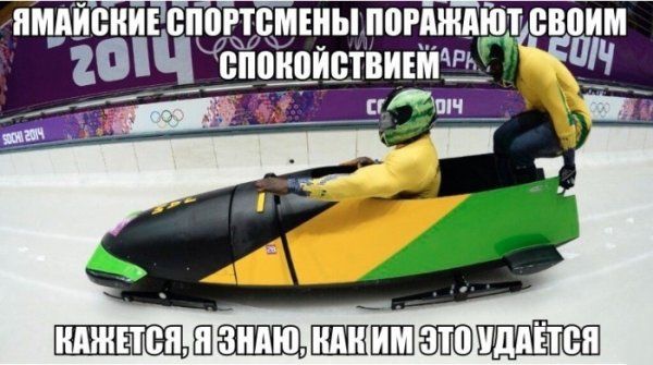 Прикольные картинки (79 фото)