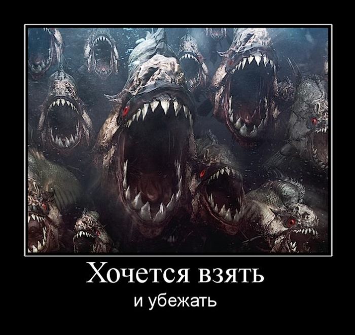 Демотиваторы