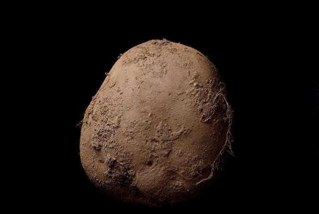 Вот как выглядит талант получать деньги из воздуха Вот как выглядит талант получать деньги из воздуха