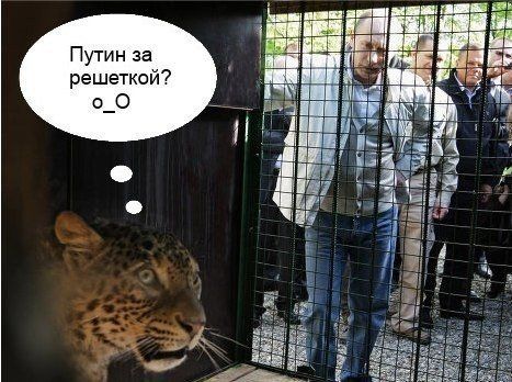 Прикольные картинки (103 фото)