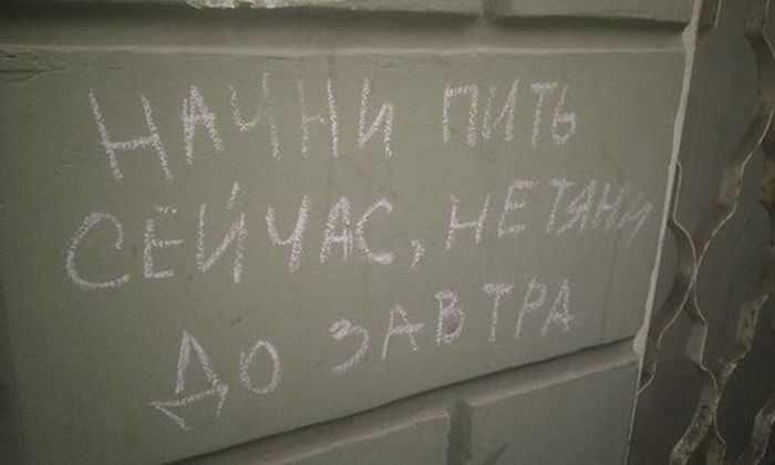 Прикольные картинки (103 фото)