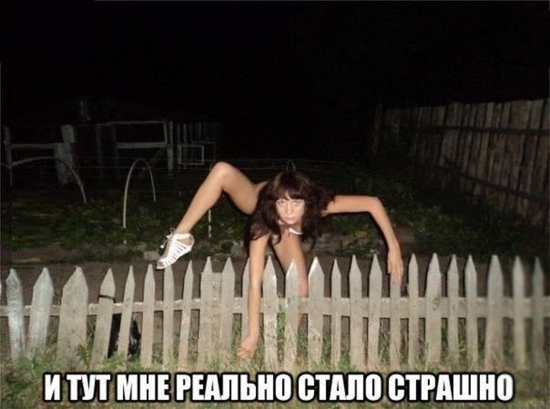Прикольные картинки (103 фото)