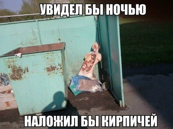 Прикольные картинки (103 фото)