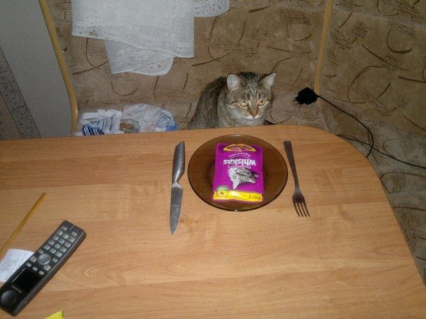 Прикольные картинки (103 фото)