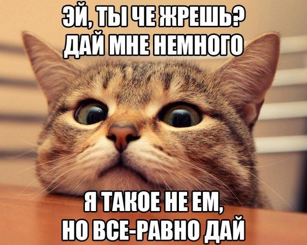 Прикольные картинки (103 фото)